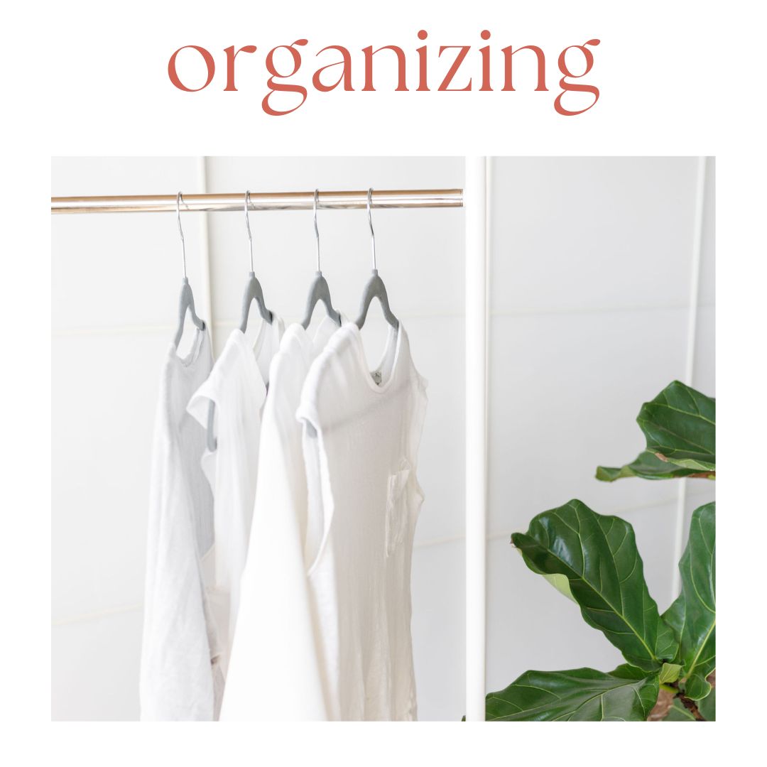 minimalist wardrobe clothing rack and plant