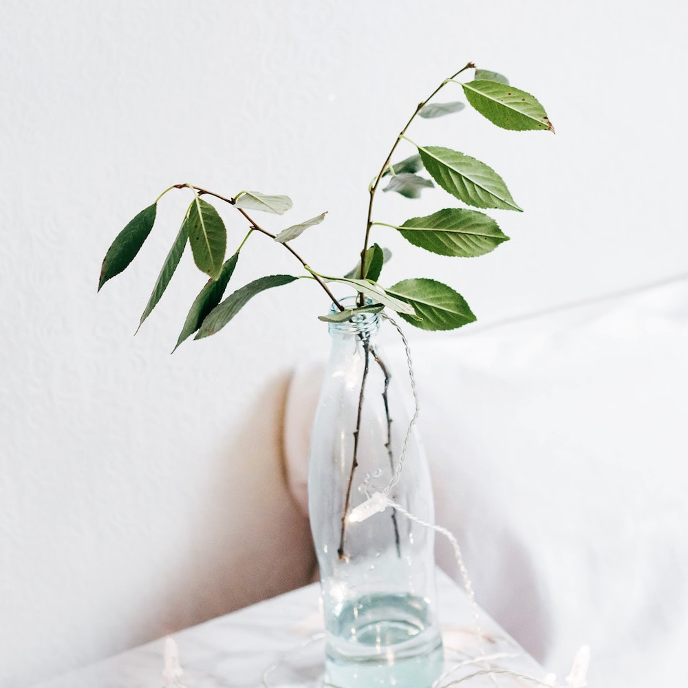 Vase with two branches beside white pillow