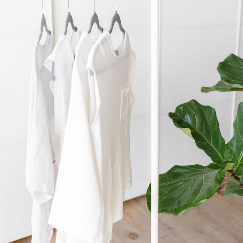scandi-minimalist clothing rack and plant